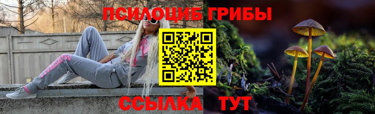 Псилоцибиновые грибы прущие грибы Шумерля
